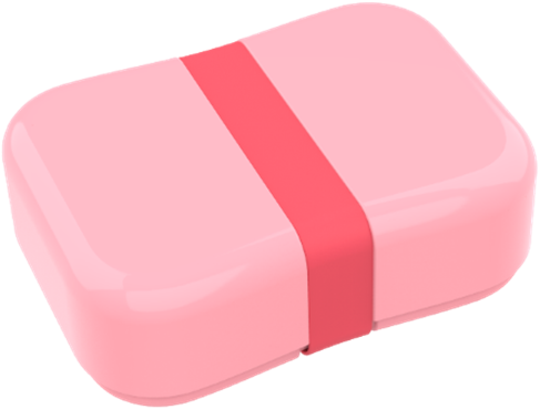 lunchbox met elastiek roze